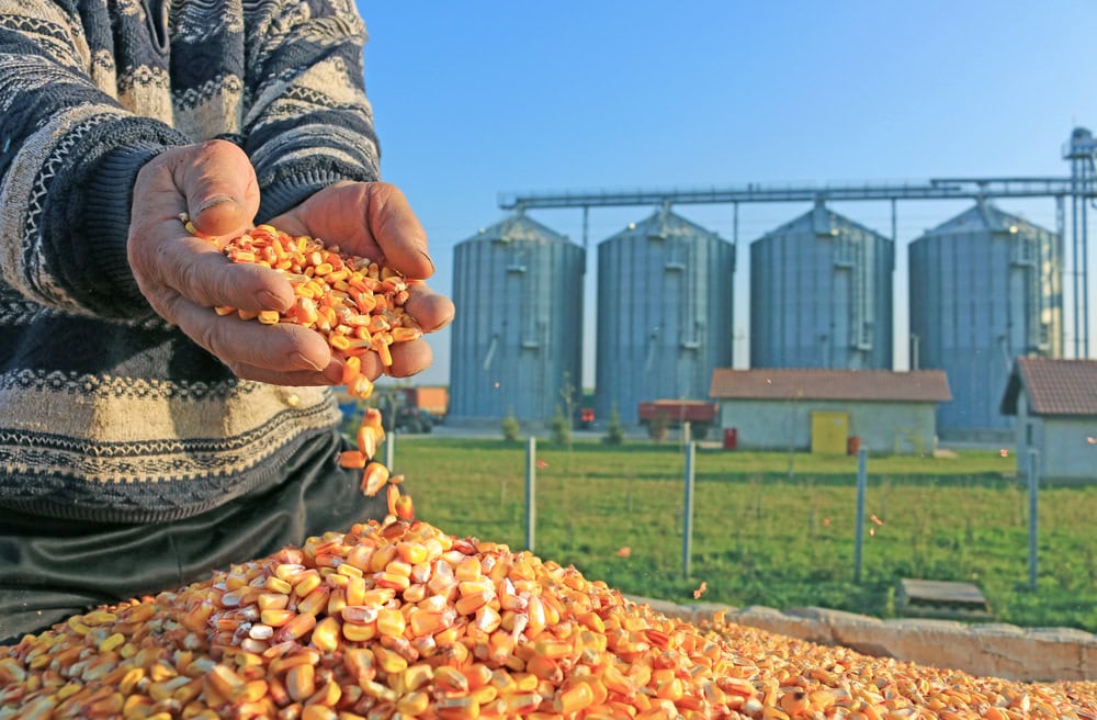 man with corn in his hand experiencing the hidden cost of bad flow aids