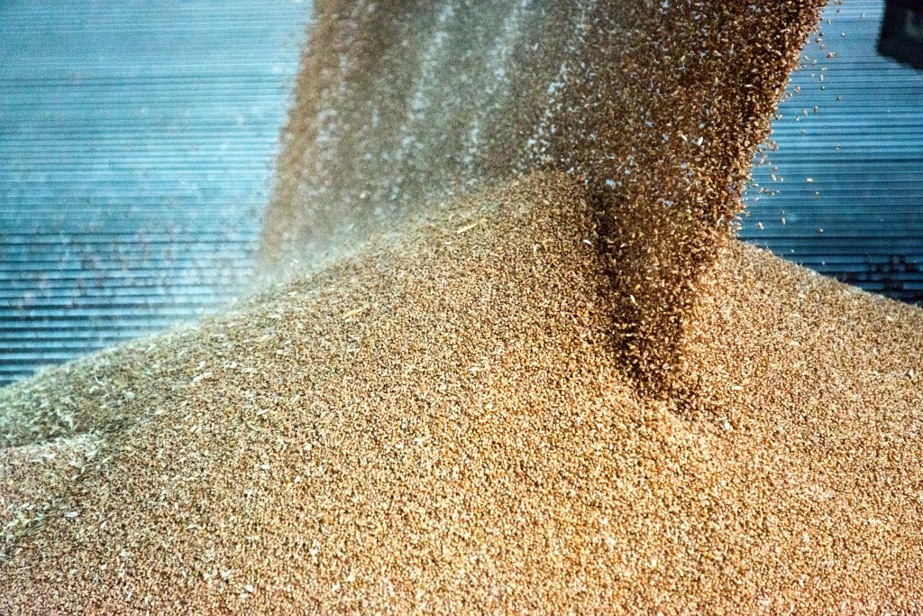 grains cereal being delivered agricultural silo